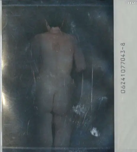 Image 3303141 from Maisie Williams