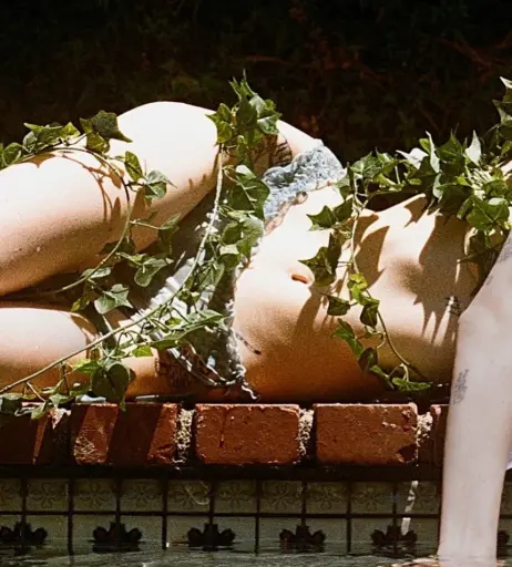 Image 3896335 from Smashedely - Ashley Matheson