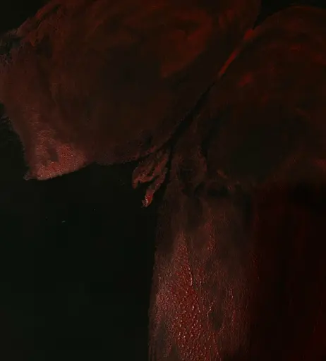 Image 3897737 from nasijia