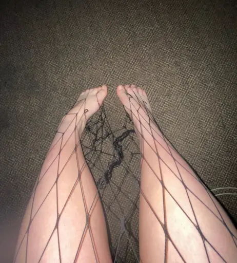 Image 385481 from Brazzydoll420 / playboylilli