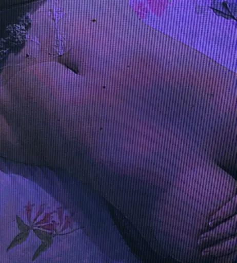 Image 3825605 from Azuleish