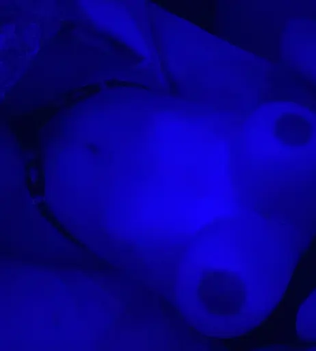 Image 3825138 from Azuleish