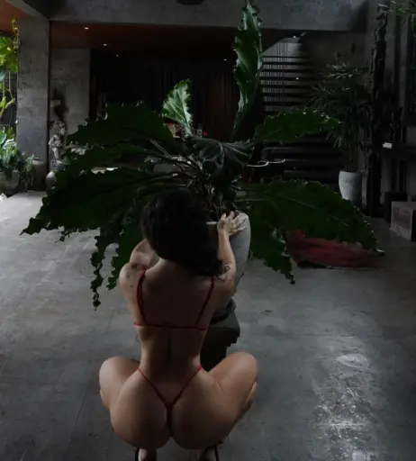 Image 3829843 from Melissa - Melimtx