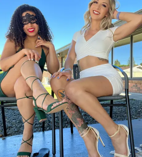 Image 3805139 from mathema-kitten