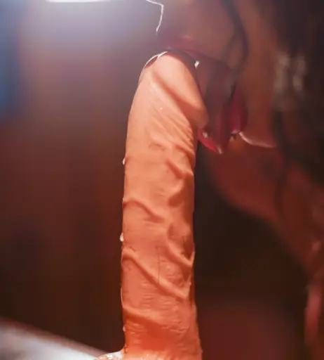 Image 3974278 from Erika Gomez / erikagomez44