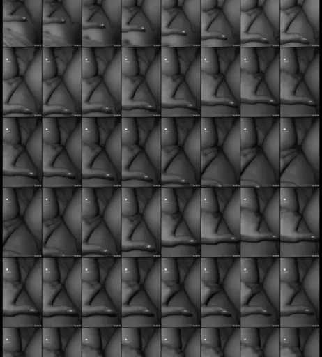 Image 397212 from Anti.grn