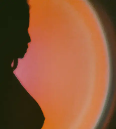 Image 3965059 from Bree Wales Covington / Msbwc