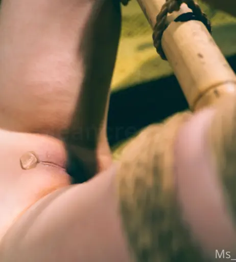 Image 3960640 from Bree Wales Covington / Msbwc