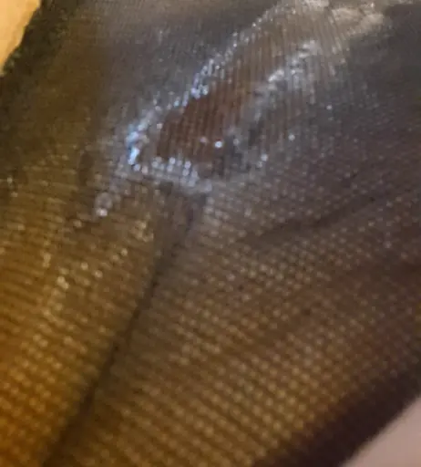 Image 3902275 from Ezada Sinn / ezada