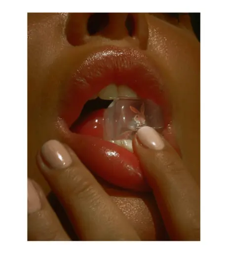 Image 3494688 from Yasmila Mendeguia