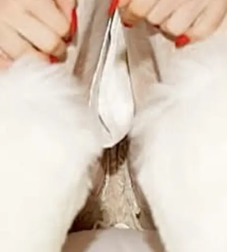 Image 3483380 from Shirin David