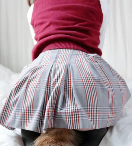 Image 3406648 from Norafawn