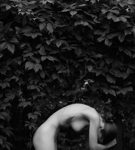 Image 340382 from Margo Vishnevska