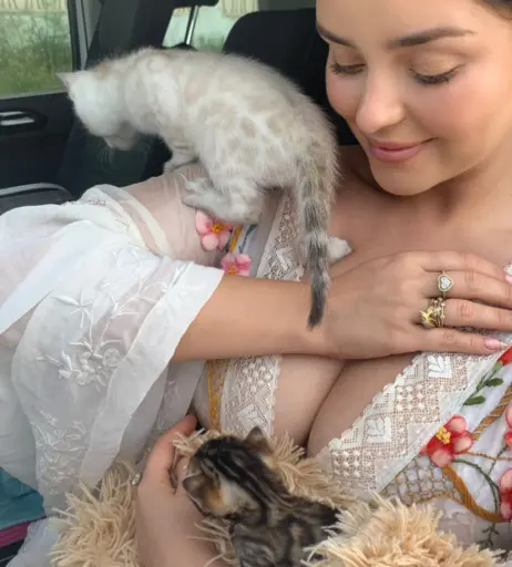 Image 3590066 from Demi Rose Mawby