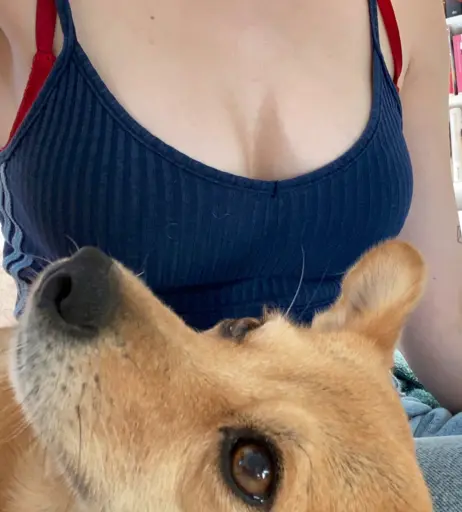 Image 358247 from Kalemia