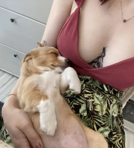 Image 358224 from Kalemia