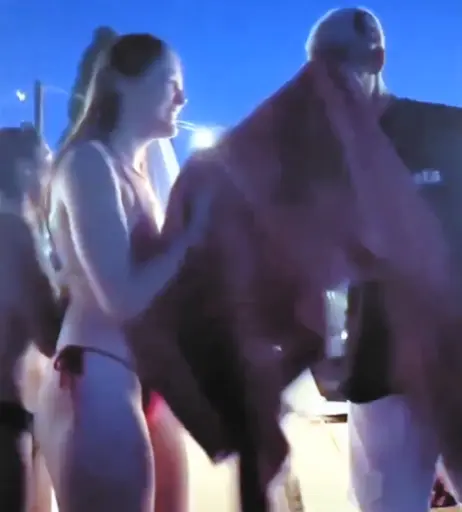 Image 3580603 from Zehra Güneş