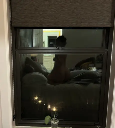 Image 3576756 from Girth Brooks - HOWDYBlTCH