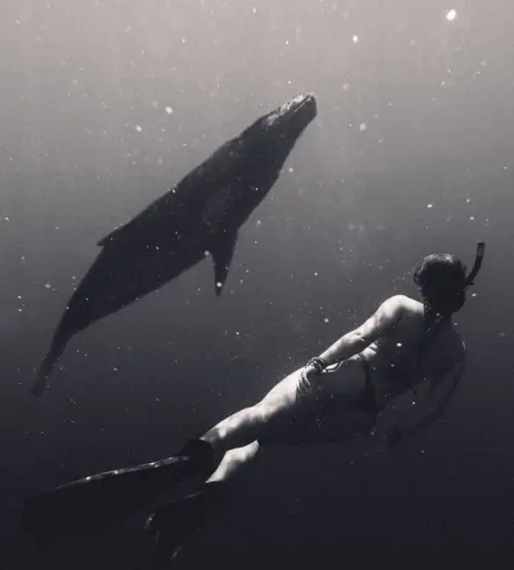 Image 3578333 from Leonie Buchegger