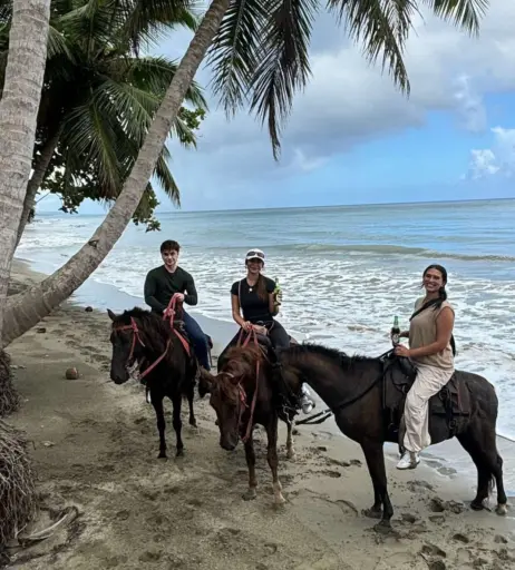 Image 3561921 from Malayaax - Sophieraiin