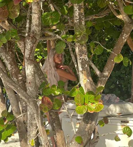 Image 3560862 from Sab Zada / Pasabist