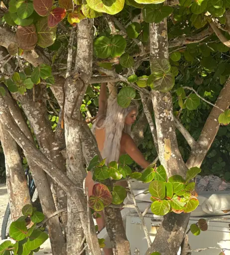 Image 3560796 from Sab Zada / Pasabist