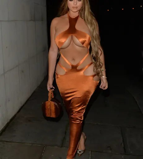 Image 3551847 from Demi Rose Mawby