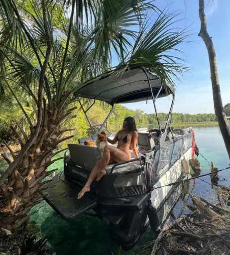 Image 3552562 from Allure By Ana