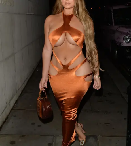 Image 3552182 from Demi Rose Mawby