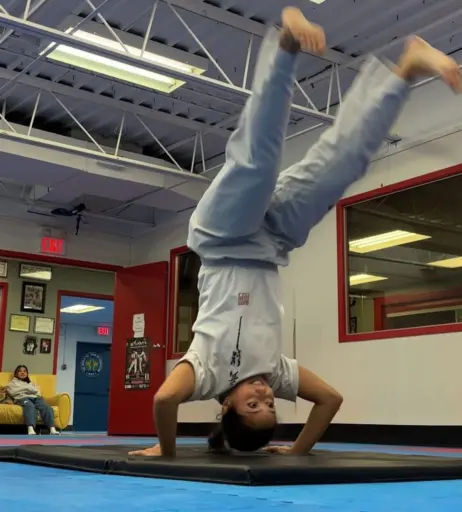 Image 3545951 from Sabrina Pezeshkian | sabadabadoodle | sabababaroo