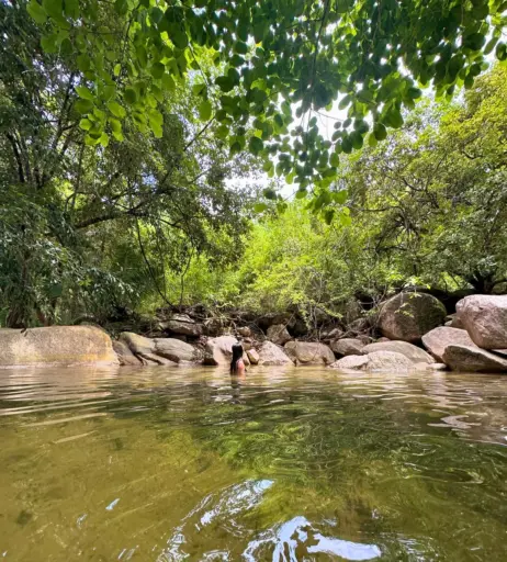 Image 3546467 from Sabrina Pezeshkian | sabadabadoodle | sabababaroo