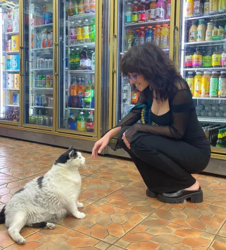 Image 3547560 from Anuhea Nihipali