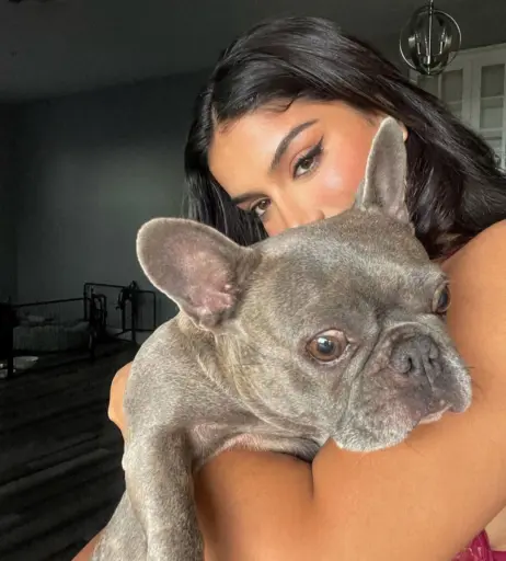 Image 3548267 from Alishbasheikh