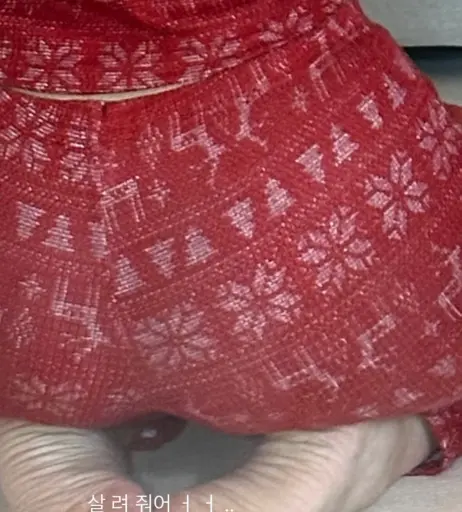 Image 3537104 from Heeheemoon / moon_nyang_