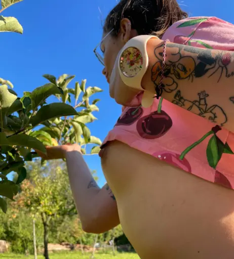 Image 353208 from czihuahua