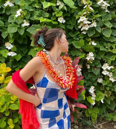 Image 3539296 from Anuhea Nihipali