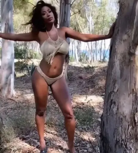 Image 3526173 from Ainett Stephens