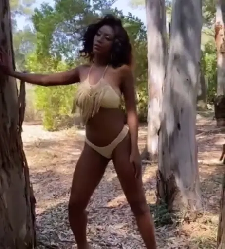 Image 3526121 from Ainett Stephens