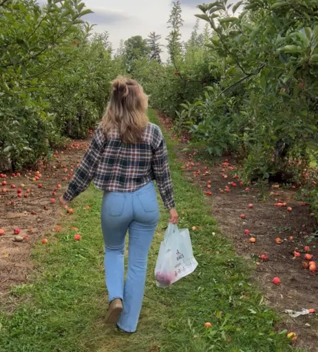 Image 3526225 from Pineapplebrat / Alice Klomp