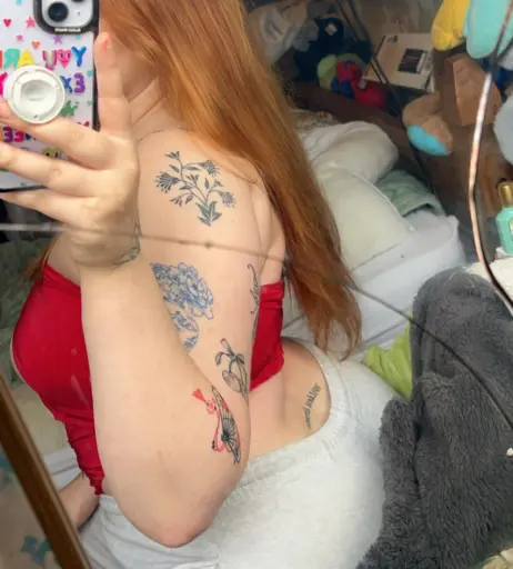 Image 3522658 from Taylor Hutchings