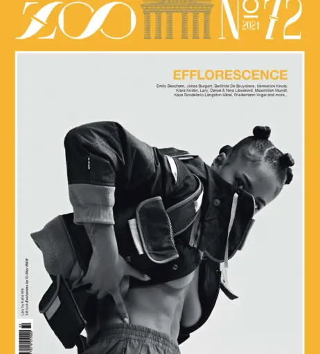 Image 3518975 from Larypoppins / Lary