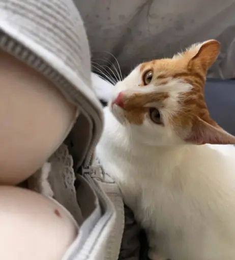 Image 3503526 from Naz - @fraaoula