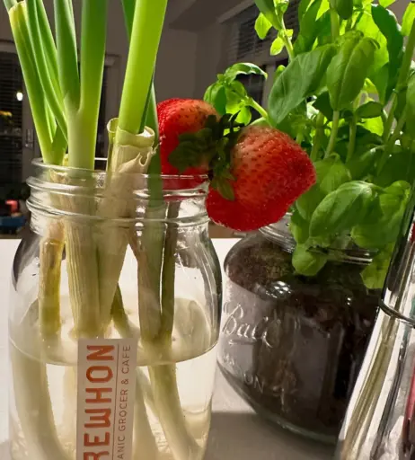 Image 3681674 from Kaile Goh