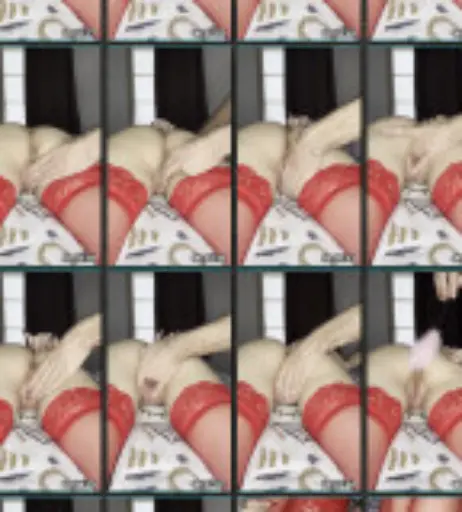 Image 3680280 from Bunnyfly