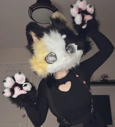 Image 3654792 from CottontailVA