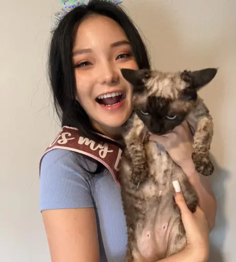 Image 3654244 from Codemiko / Youneh