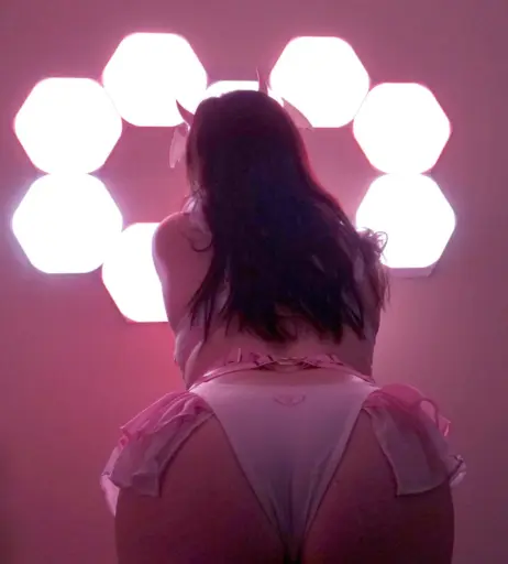 Image 3651059 from CottontailVA