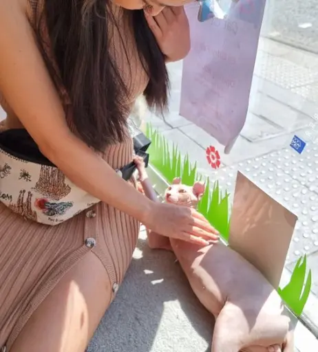 Image 3651362 from Codemiko / Youneh