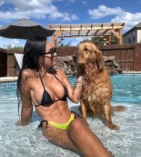 Image 3653215 from Firedancer