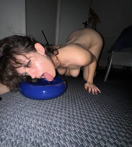 Image 3659889 from Quinn Finite